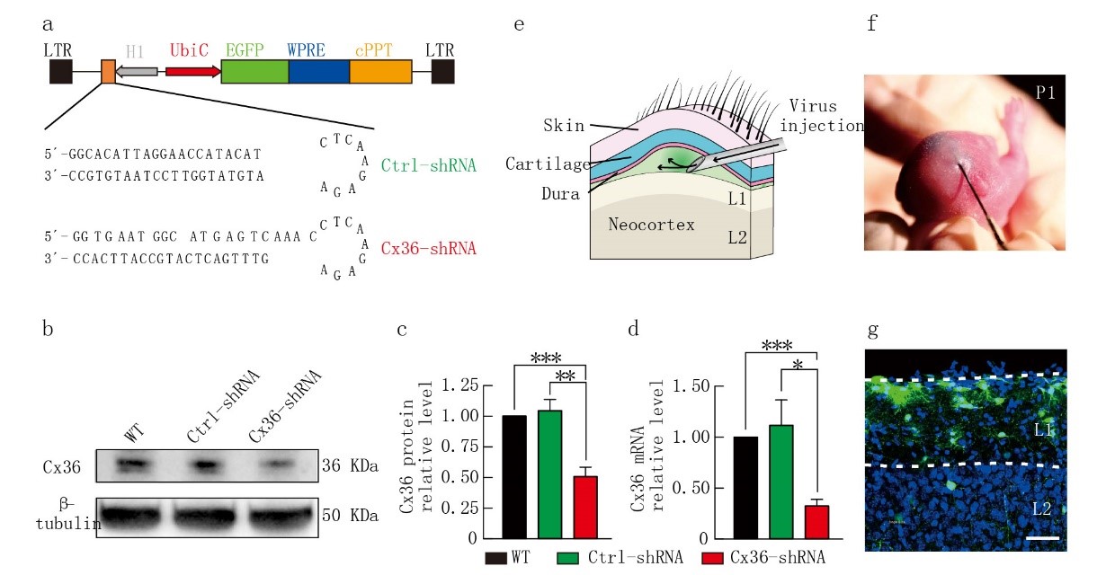 产品细节图片10
