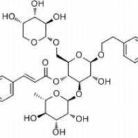 115909-22-3/安格洛甙C,分析标准品,HPLC≥98%