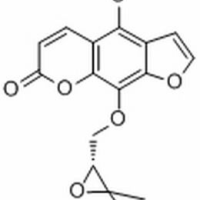26091-79-2/白当归脑,分析标准品,HPLC≥98%