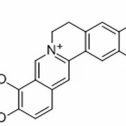 16176-68-4/巴马亭红碱,分析标准品,HPLC≥98%