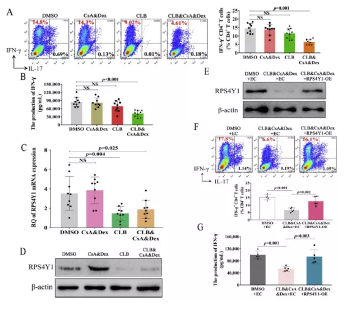 【客户文献解读】IF=7.543，多组学联用结合互作技术确定RPS4Y1是VKH疾病中重要的CsA和CS抗性基因