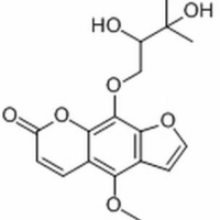 19573-01-4/ 白当归素,分析标准品,HPLC≥98%