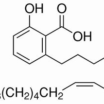 22910-60-7/白果酸（银杏酸C15:1）,分析标准品,HPLC≥98%