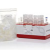 细胞活力/毒性检测试剂盒（CCK-8试剂盒）