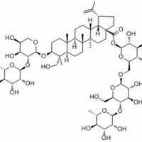 129741-57-7/白头翁皂苷B4 ,	分析标准品,HPLC-ELSD≥95%