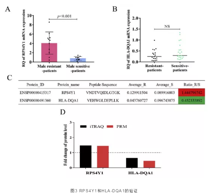 【客户文献解读】IF=7.543，多组学联用结合互作技术确定RPS4Y1是VKH疾病中重要的CsA和CS抗性基因