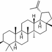 13159-28-9/白桦脂醛,分析标准品,HPLC≥98%