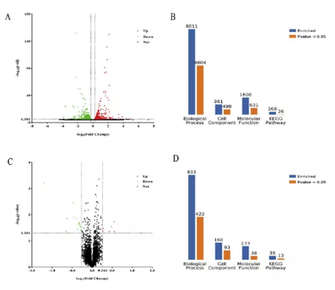 【客户文献解读】IF=7.543，多组学联用结合互作技术确定RPS4Y1是VKH疾病中重要的CsA和CS抗性基因