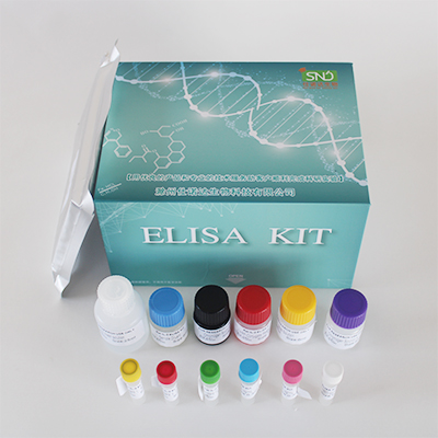 小鼠白细胞介素6（IL-6）ELISA试剂盒