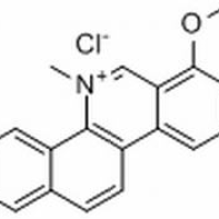 34316-15-9/白屈菜红碱,分析标准品,HPLC≥98%