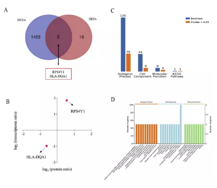 【客户文献解读】IF=7.543，多组学联用结合互作技术确定RPS4Y1是VKH疾病中重要的CsA和CS抗性基因