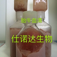 细菌（Bacteria）丝氨酸（Ser）ELISA检测试剂盒