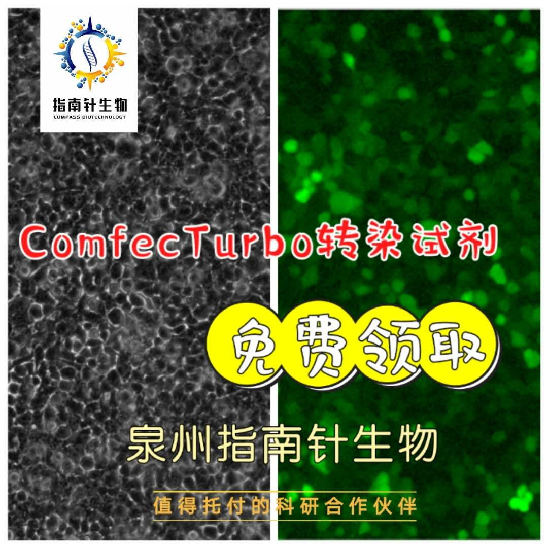 Comfec Turbo 转染试剂 (付邮领取试用装,免费试用装）