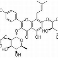 110623-73-9/	 朝藿定B ,分析标准品,HPLC≥98%
