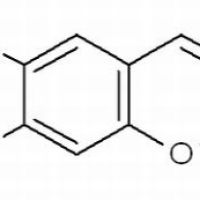 120-08-1./滨蒿内酯 ,分析标准品,HPLC≥98%