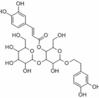 104777-68-6/ 大车前苷 ,分析标准品,HPLC≥98%