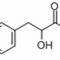 67920-52-9/ 丹参素钠 ,分析标准品,HPLC≥98%