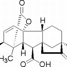 77-06-5/赤霉素GA3 ,分析标准品,HPLC≥90%