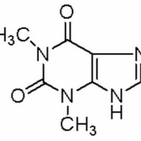 58-55-9/	 茶碱 ,分析标准品,HPLC≥98%