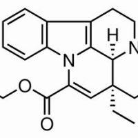 42971-09-5/长春西汀,分析标准品,HPLC≥98%