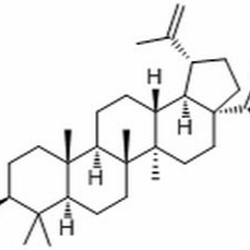 38736-77-5/表白桦脂酸 ,	分析标准品,HPLC≥99%