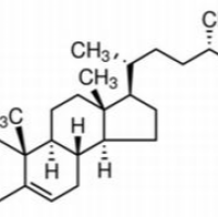 474-62-4/ 菜油甾醇 ,分析标准品,HPLC≥98%