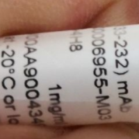 小鼠TRA单克隆抗体M03克隆4H8用于ELISA,Western Blot方法现货促销abnova H00006955-M03