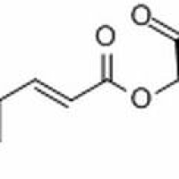 67879-58-7/单咖啡酰酒石酸 ,分析标准品,HPLC≥98%