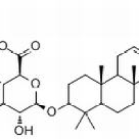 96990-18-0/地肤子皂苷Ic ,分析标准品,HPLC≥98%
