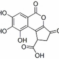 18490-95-4/	 短叶苏木酚酸 ,分析标准品,HPLC≥98%