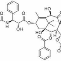 114977-28-5/多烯紫杉醇 ,分析标准品,HPLC≥98%