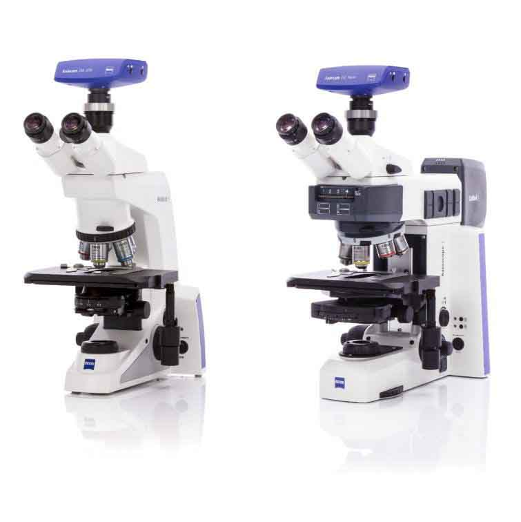 Axioscope 5正置显微镜