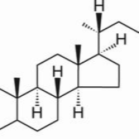 80-97-7/ 二氢胆固醇 ,分析标准品,HPLC≥98%