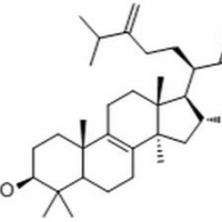 29070-92-6/茯苓酸,	分析标准品,HPLC≥97%