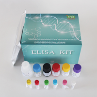 Rat vWF ELISA Kit/大鼠血管性血友病因子(vWF)ELISA 试剂盒
