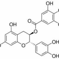 130405-40-2/	 儿茶素没食子酸酯,	分析标准品,HPLC≥98%