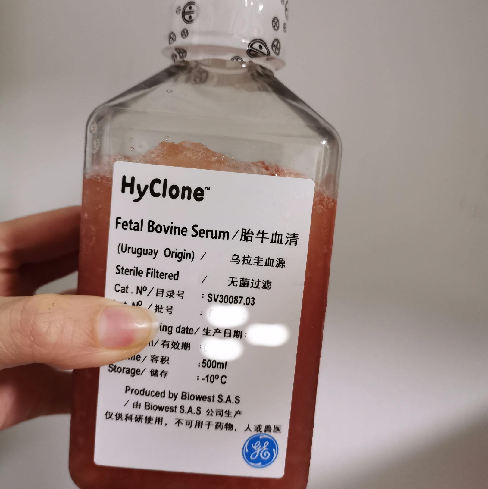Hyclone SH30084.02E 胚胎干细胞专用胎牛血清