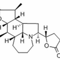 6879-01-2/对叶百部碱 ,分析标准品,HPLC≥98%