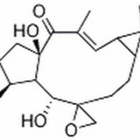 28649-60-7/ 环氧续随子醇 ,分析标准品,HPLC≥98%