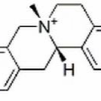 18556-27-9/汉防己丙素 ,分析标准品,HPLC≥98%
