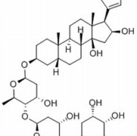 4562-36-1.吉妥辛 ,分析标准品,HPLC≥98%