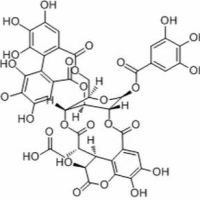 23094-71-5/诃子鞣酸 ,分析标准品,HPLC≥98%