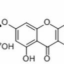 22007-72-3/ 槲皮素7-O-α-L鼠李糖苷 ,分析标准品,HPLC≥98%
