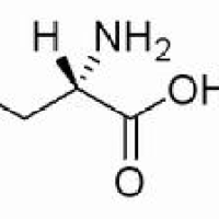 6106-04-3/	 谷氨酸单钠盐 ,分析标准品,HPLC≥98%