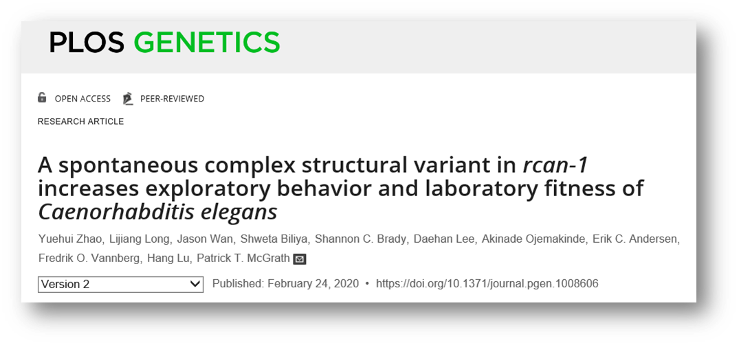 BluePippin分离回收大片段DNA文库，用于Oxford Nanopore MinION长读长测序