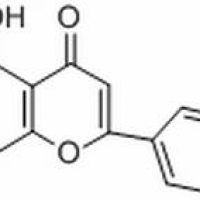1447-88-7/高车前素 ,分析标准品,HPLC≥98%