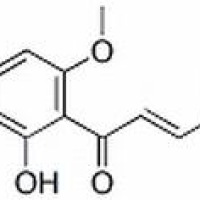 6754-58-1/	 黄腐酚 ,分析标准品,HPLC≥98%