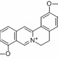 3486-66-6/ 黄连碱 ,分析标准品,HPLC≥98%