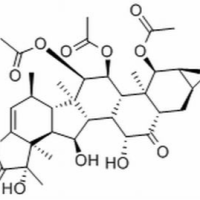 108885-69-4/	 根薯酮内酯B ,分析标准品,HPLC≥98%
