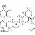 136849-88-2/	 灰毡毛忍冬皂苷乙 ,分析标准品,HPLC≥98%